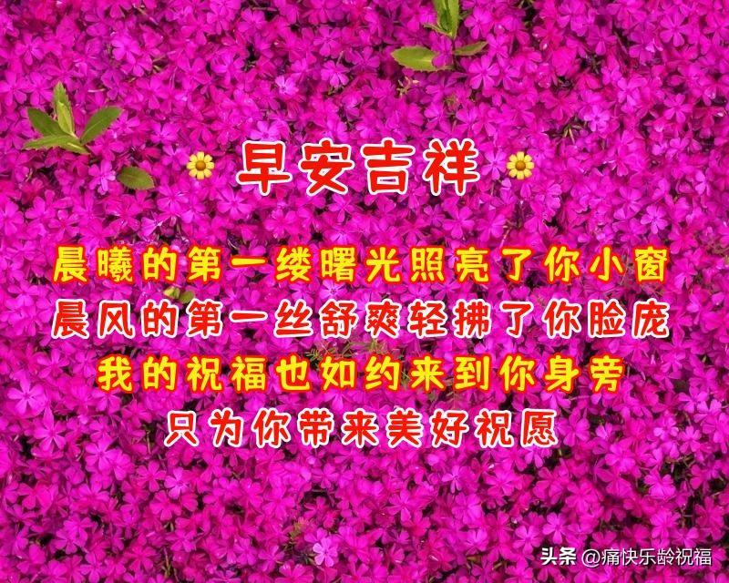 周三早晨问候语（早晨问候语及关心短句）