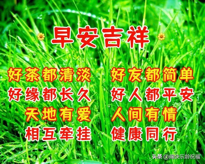 周二早晨吉祥祝福语（清晨暖心早上的问候语句子）