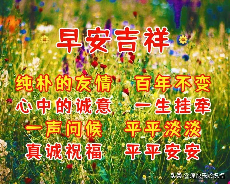 周二早晨吉祥祝福语（清晨暖心早上的问候语句子）