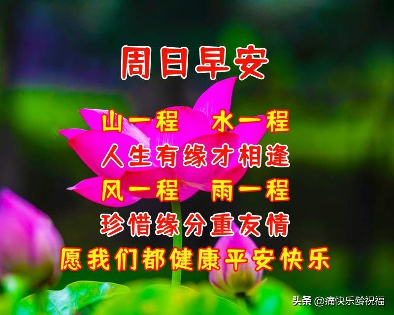 周日清晨暖心问候语（问候语语录大全）