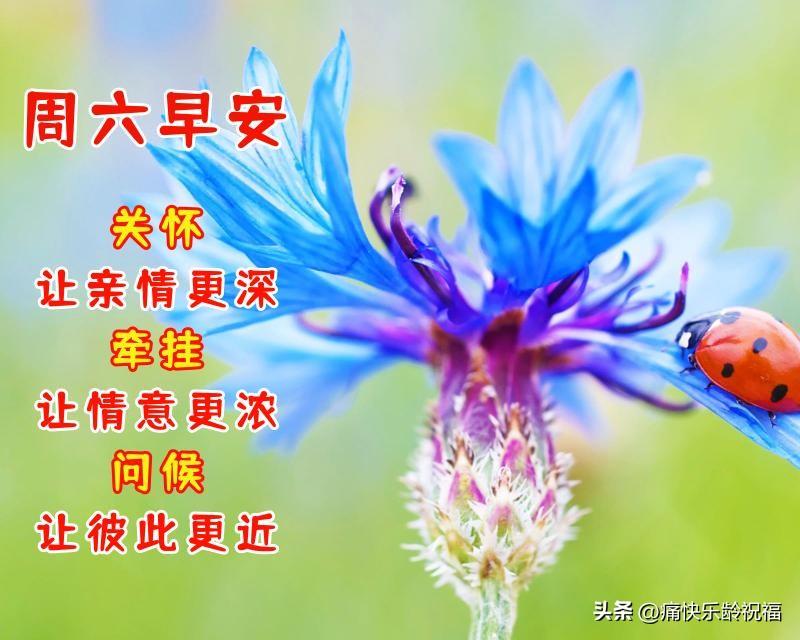 周六早上好祝福语（早上的问候语暖心句子）