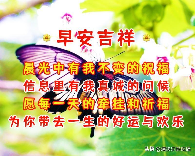 周六早上好祝福语（早上的问候语暖心句子）