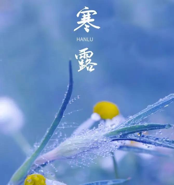 寒露节气祝福语（节气寒露暖心问候句子）