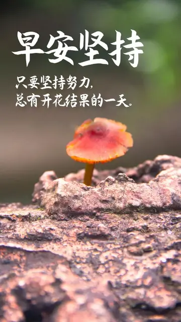 特别励志的早安好句（关于早安的经典语句）