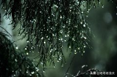 有关雨的经典句子（赞美雨无私奉献的优美句子）