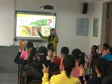 2022小学生食品安全活动总结范文（小学生食品安全策划总结范例）