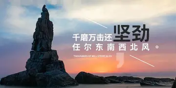 充满阳光的励志文案（积极向上的正能量句子）