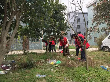 2022学校环境卫生活动总结范文（校园环境卫生策划总结范例）