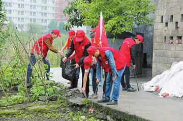 2022卫生检查活动总结范文（卫生检查策划总结范例）