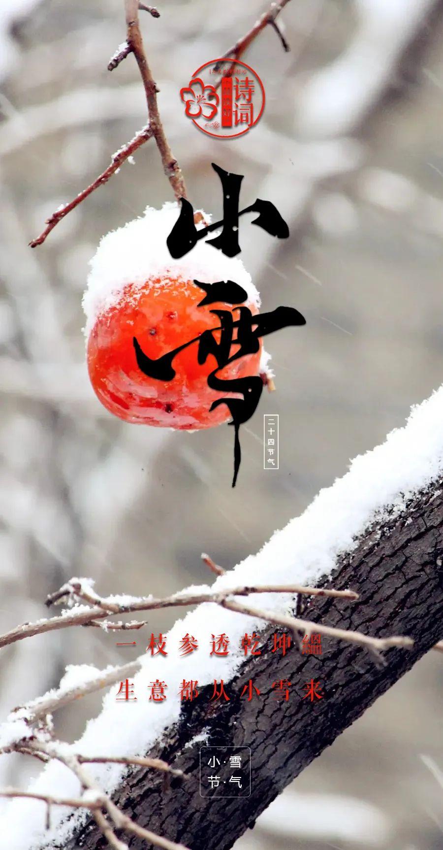 描写小雪节气的经典诗句（小雪优美的诗词）