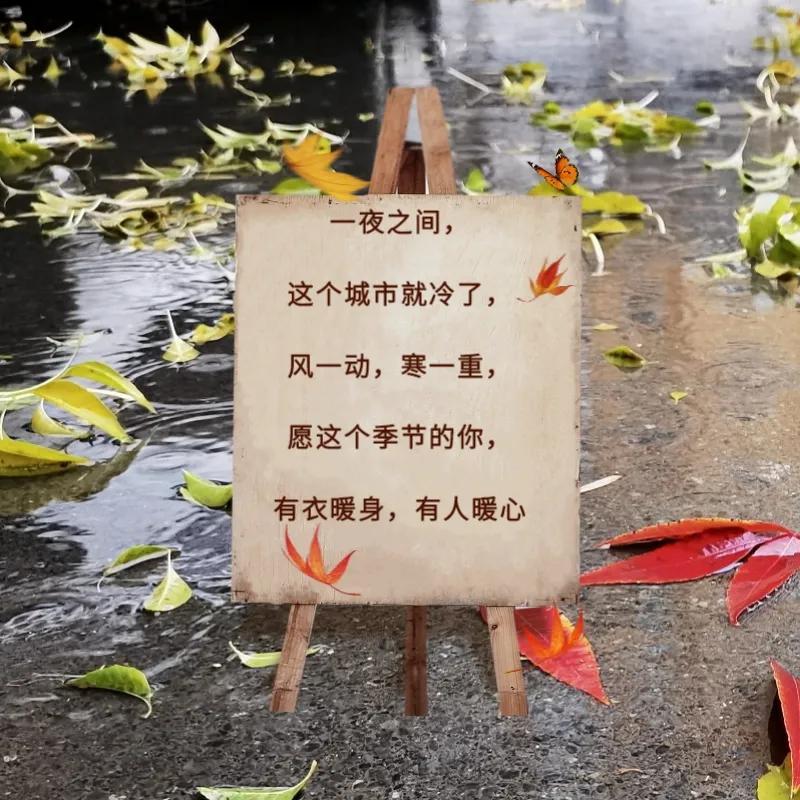 秋雨绵绵的文案（关于秋雨绵绵的唯美句子）