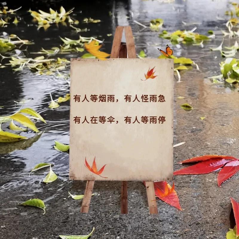 秋雨绵绵的文案（关于秋雨绵绵的唯美句子）