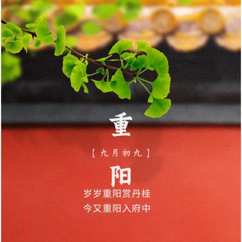 重阳节祝福语（重阳节暖心朋友圈文案）