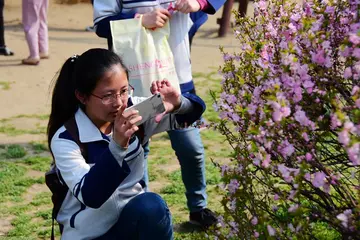 2022摄影学习心得体会范例（摄影学习心得感悟范文）