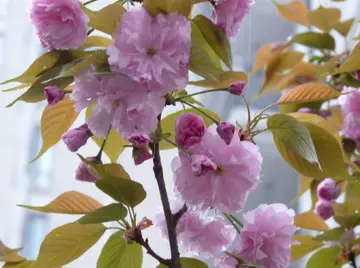 适合春天的朋友圈句子（关于春天的绝美短句）