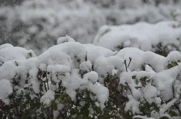 描写春雪的唯美短句（关于春雪的优美句子）