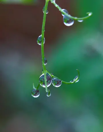 描述春雨的唯美句子（形容春雨的文案短句）