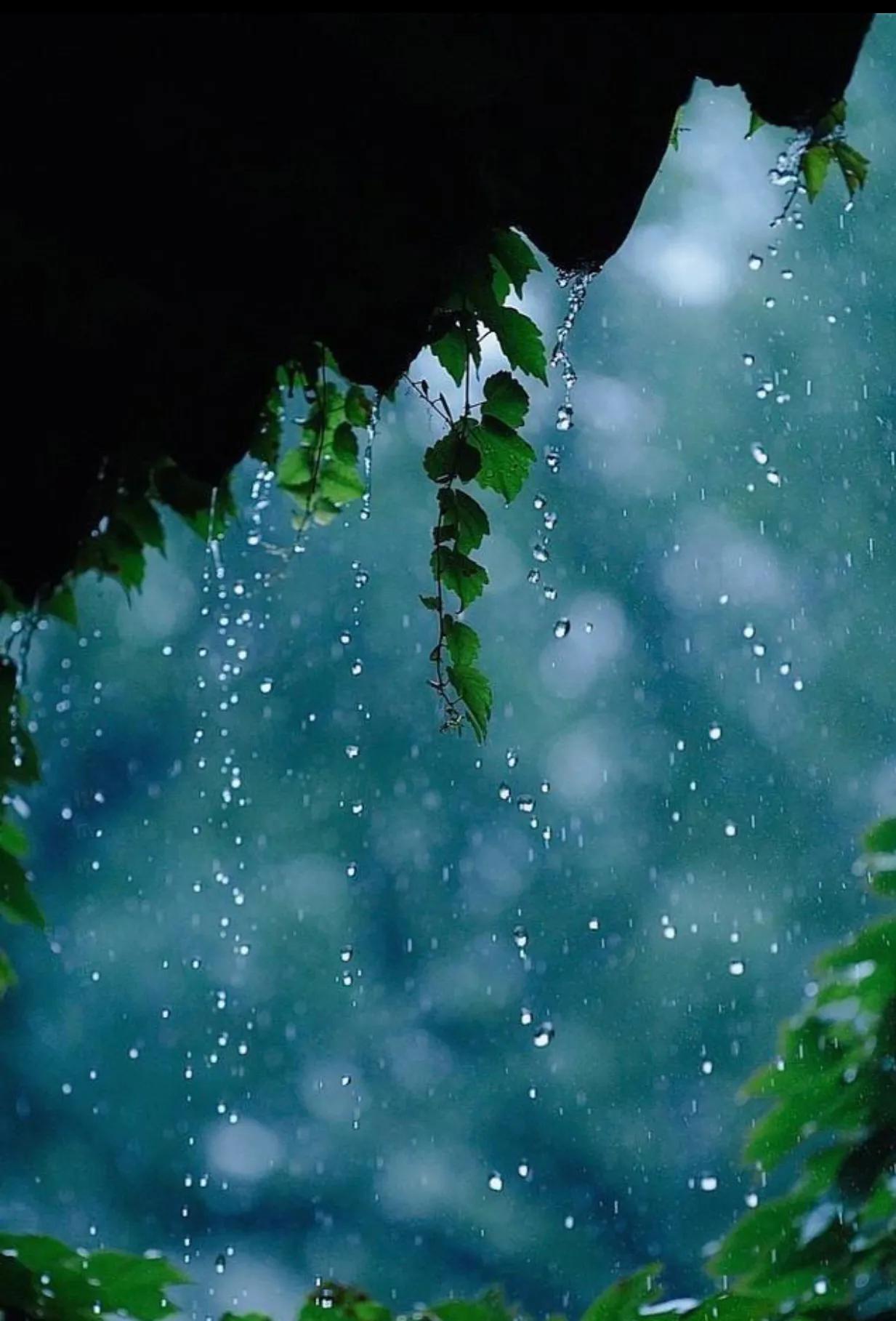 描写下雨天的唯美句子（下雨天有意境的短句）