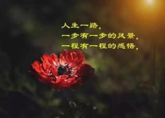 男人对生活感慨短句（感慨现实生活的句子）