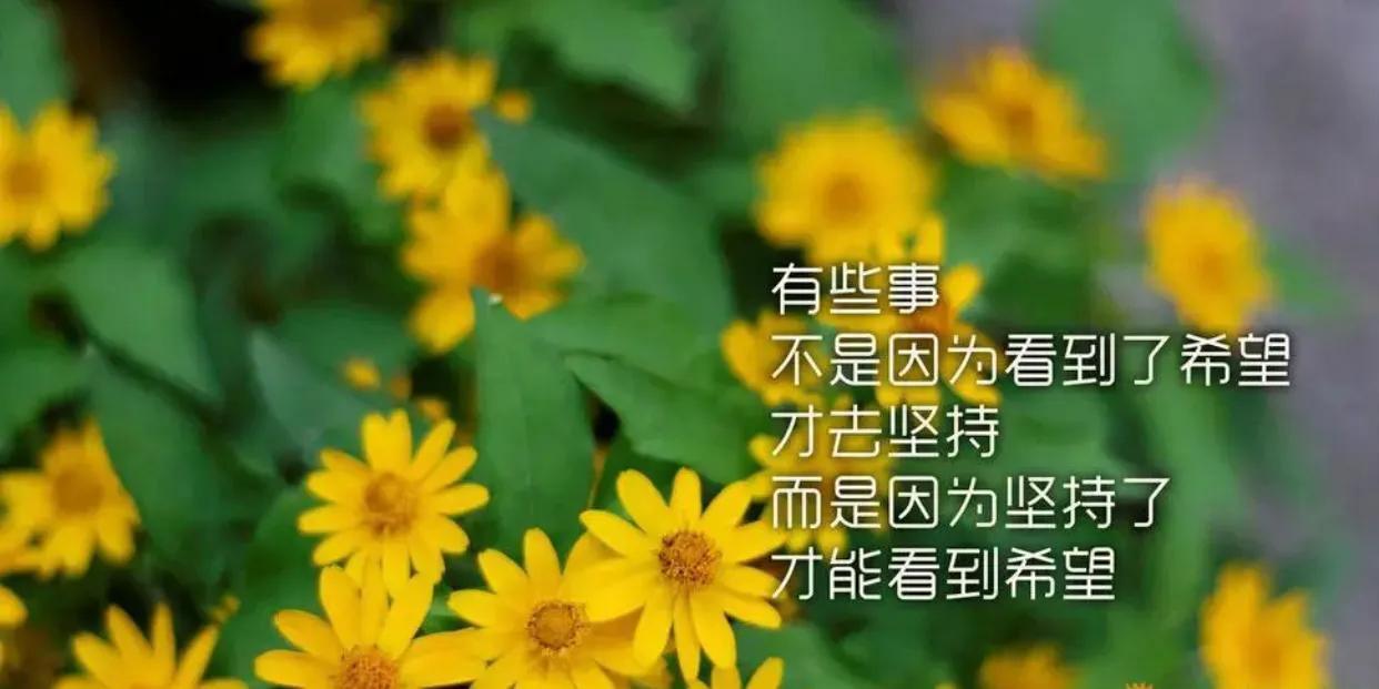 温柔励志的句子（温柔又阳光励志说说短句）