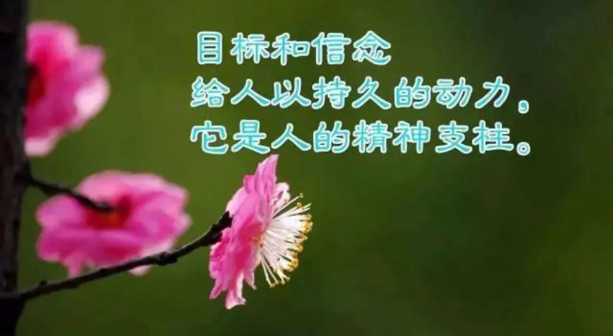 阳光生活充满正能量的句子（生活感悟经典句子）