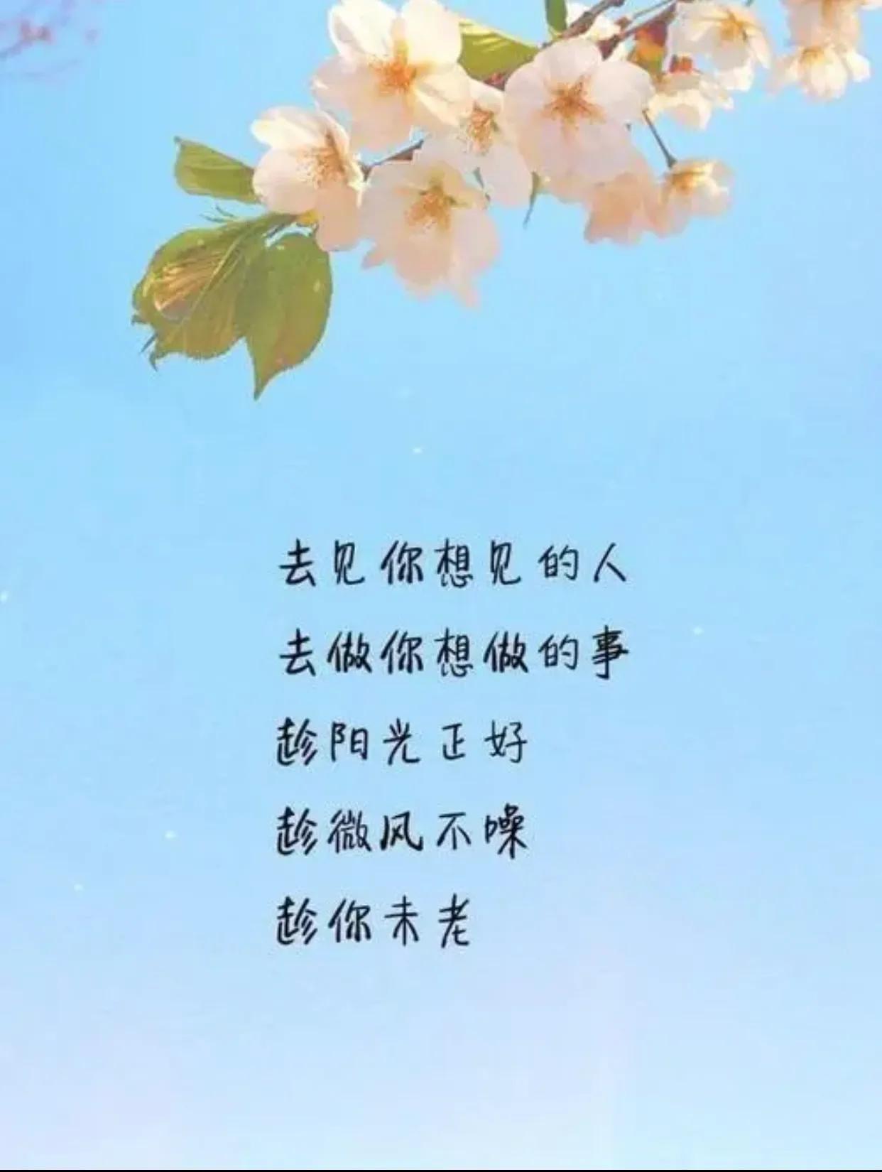 适合发朋友圈感慨生活的句子（每日心灵鸡汤经典语录）