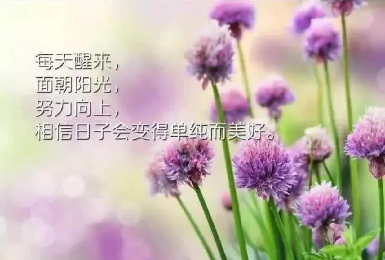 适合发朋友圈感慨生活的句子（每日心灵鸡汤经典语录）