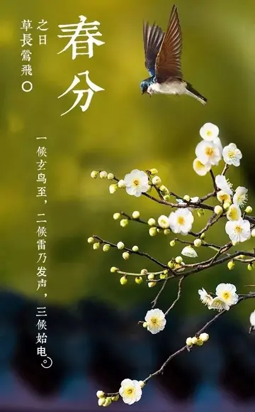 春分节气的绝美短句（关于春分的唯美句子）