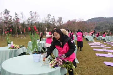 有关春天大树的作文精选范例（《仰望大树，收获甚多》）