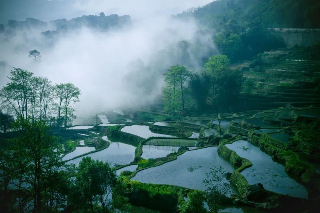 充满田园诗意的诗句（10首唯美山水田园诗）