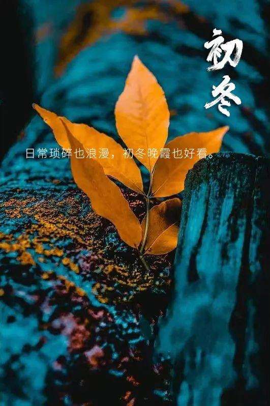 适合初冬发朋友圈文案（唯美暖心的冬天句子）