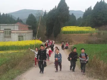 有关春天气息的作文精选范例（《富有生机的春》）