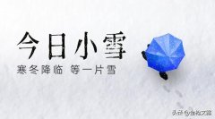 小雪节气句子大全（关于节气小雪节气句子）