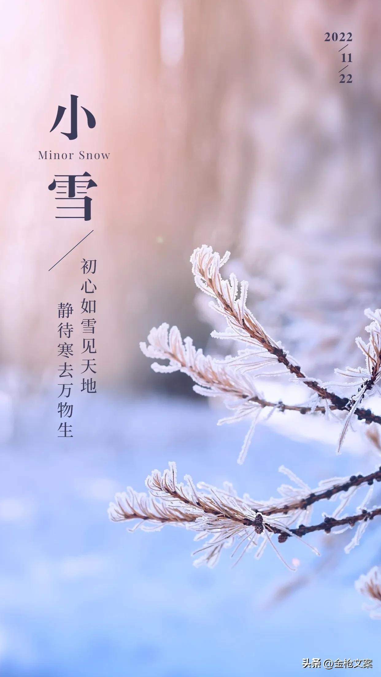 小雪节气句子大全（关于节气小雪节气句子）