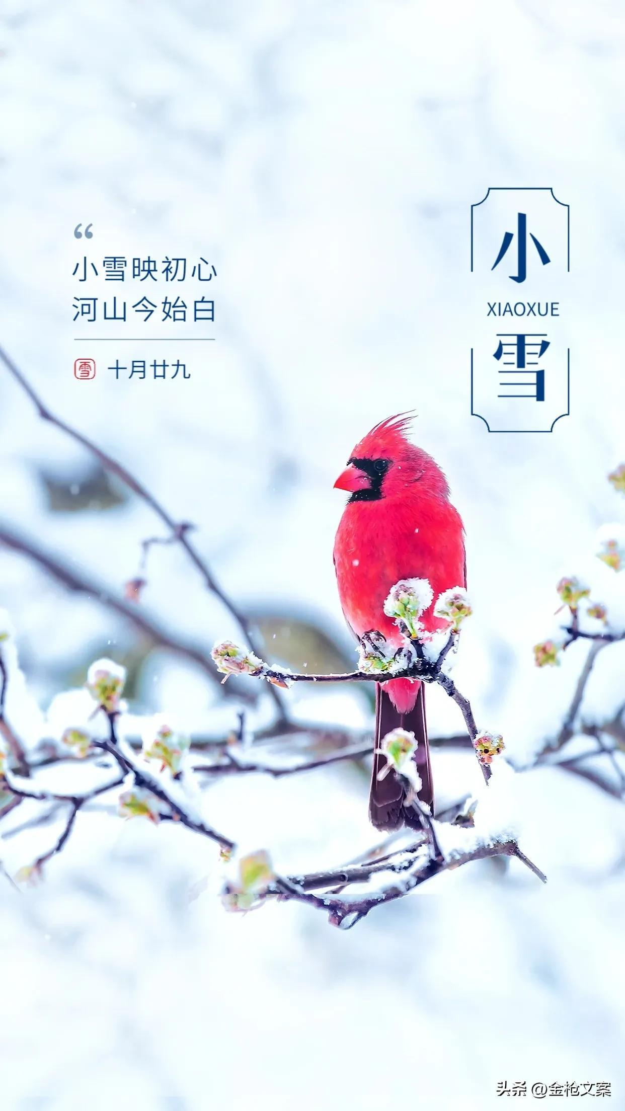 关于小雪节气句子（赞美小雪优美短句推荐）