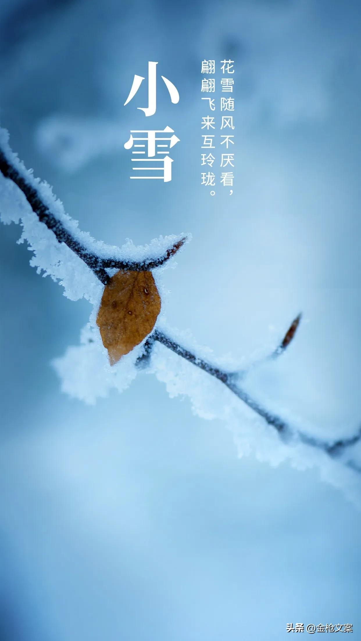 关于小雪节气句子（赞美小雪优美短句推荐）