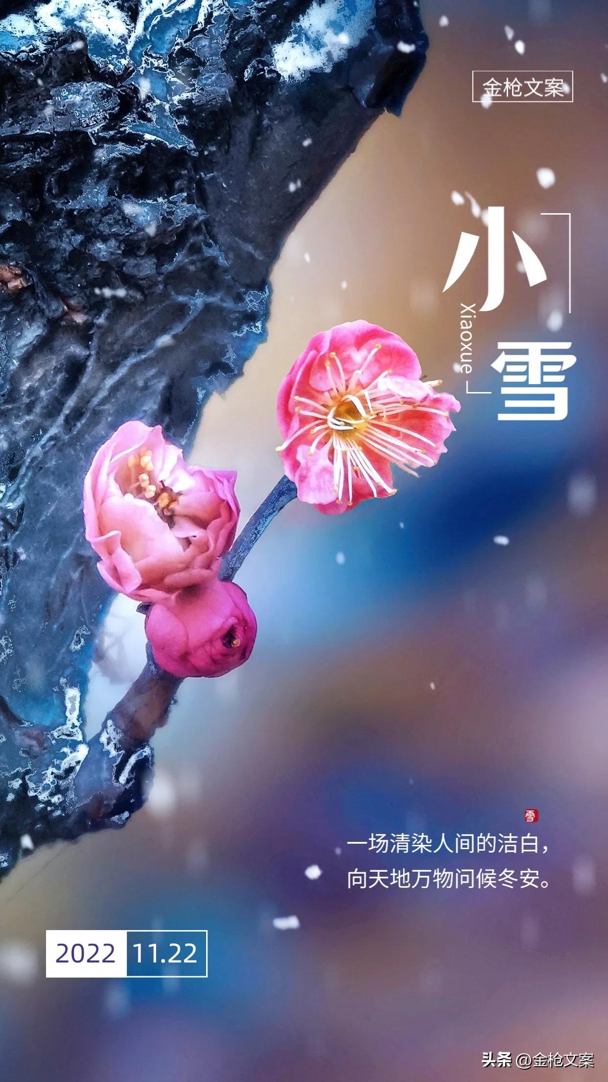 关于小雪节气句子（赞美小雪优美短句推荐）