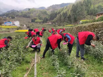 有关春天的希望作文精选范例（《我在春天种下希望》）