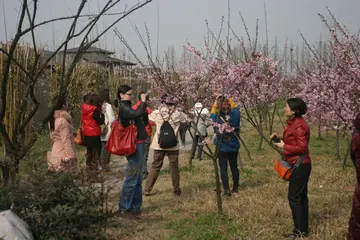 《春天，扬起希望之帆》（关于春日愿想的作文精选）