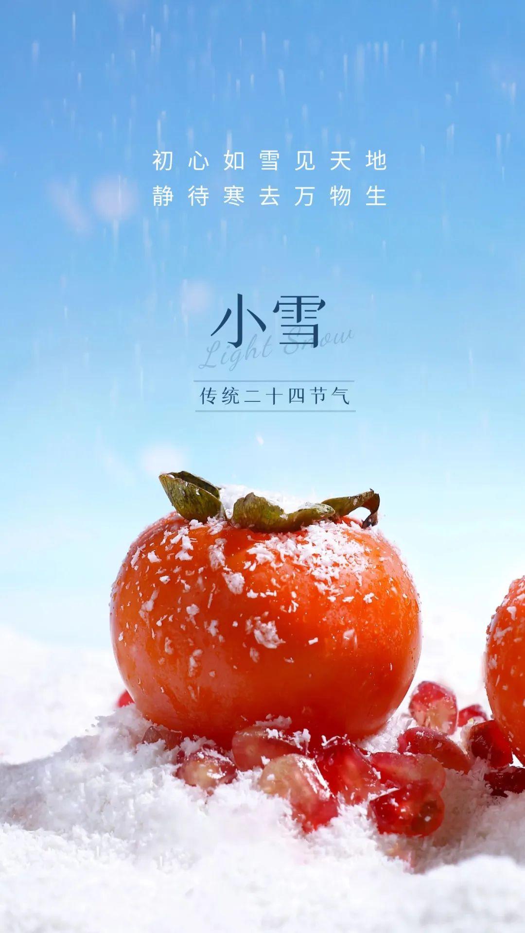 小雪正能量哲学语录（小雪温馨问候说说）