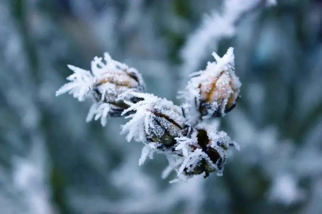 小雪正能量哲学语录（小雪温馨问候说说）