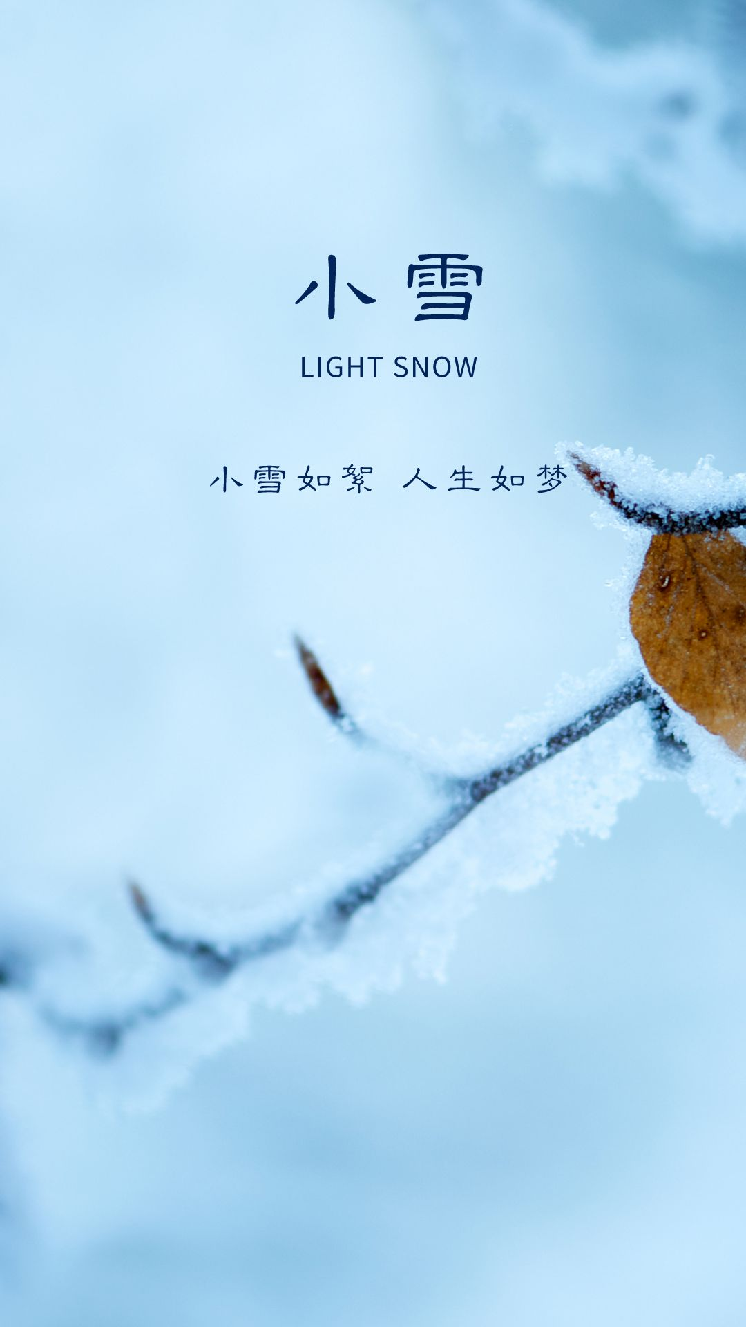 小雪正能量哲学语录（小雪温馨问候说说）