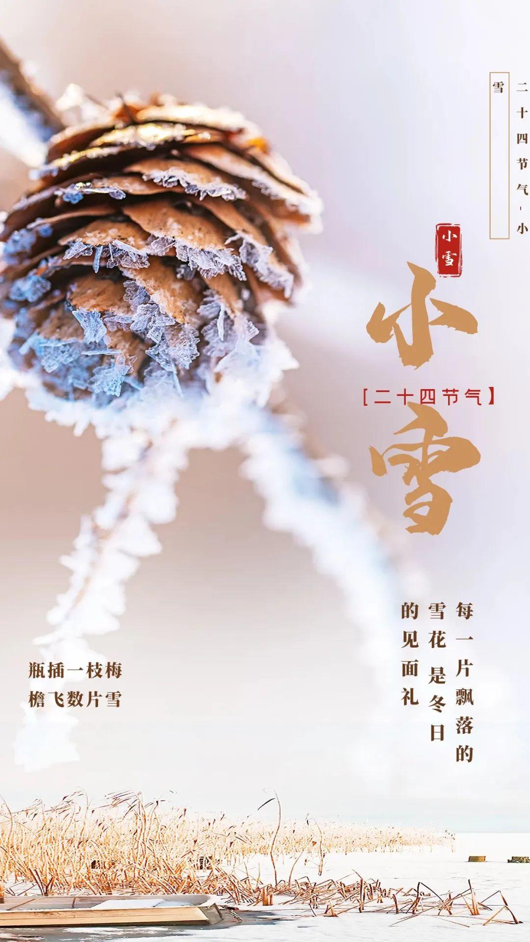 小雪正能量哲学语录（小雪温馨问候说说）