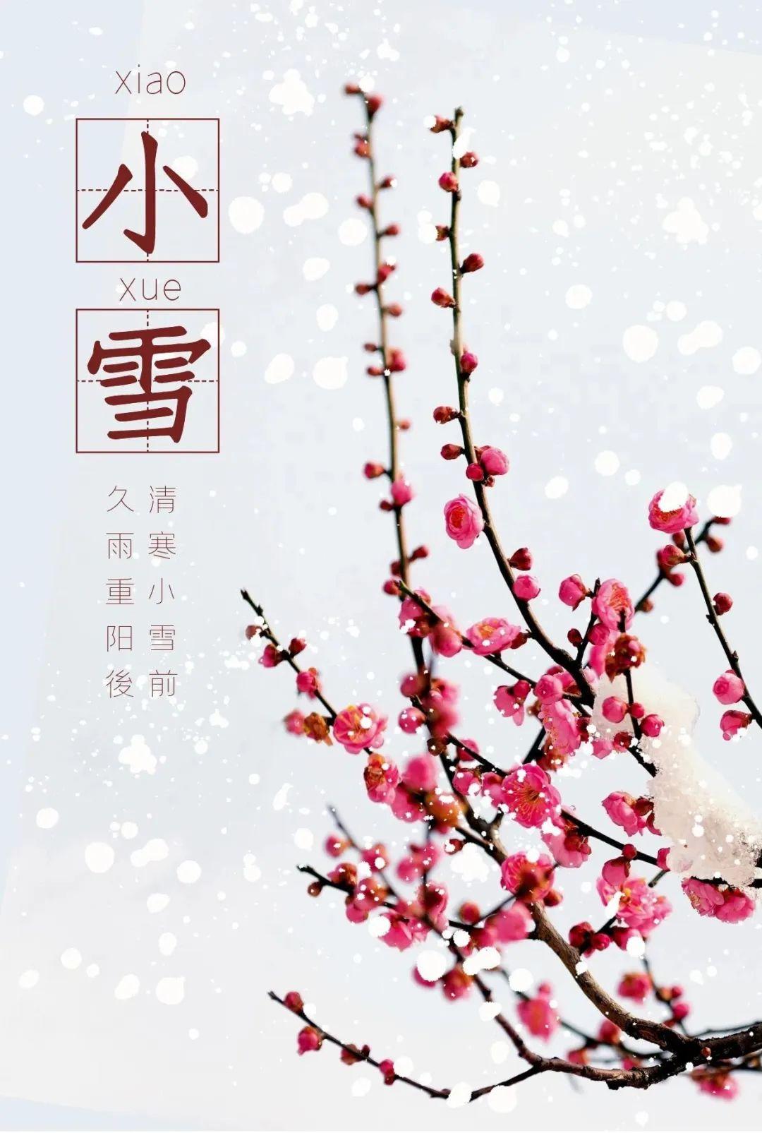 小雪正能量哲学语录（小雪温馨问候说说）