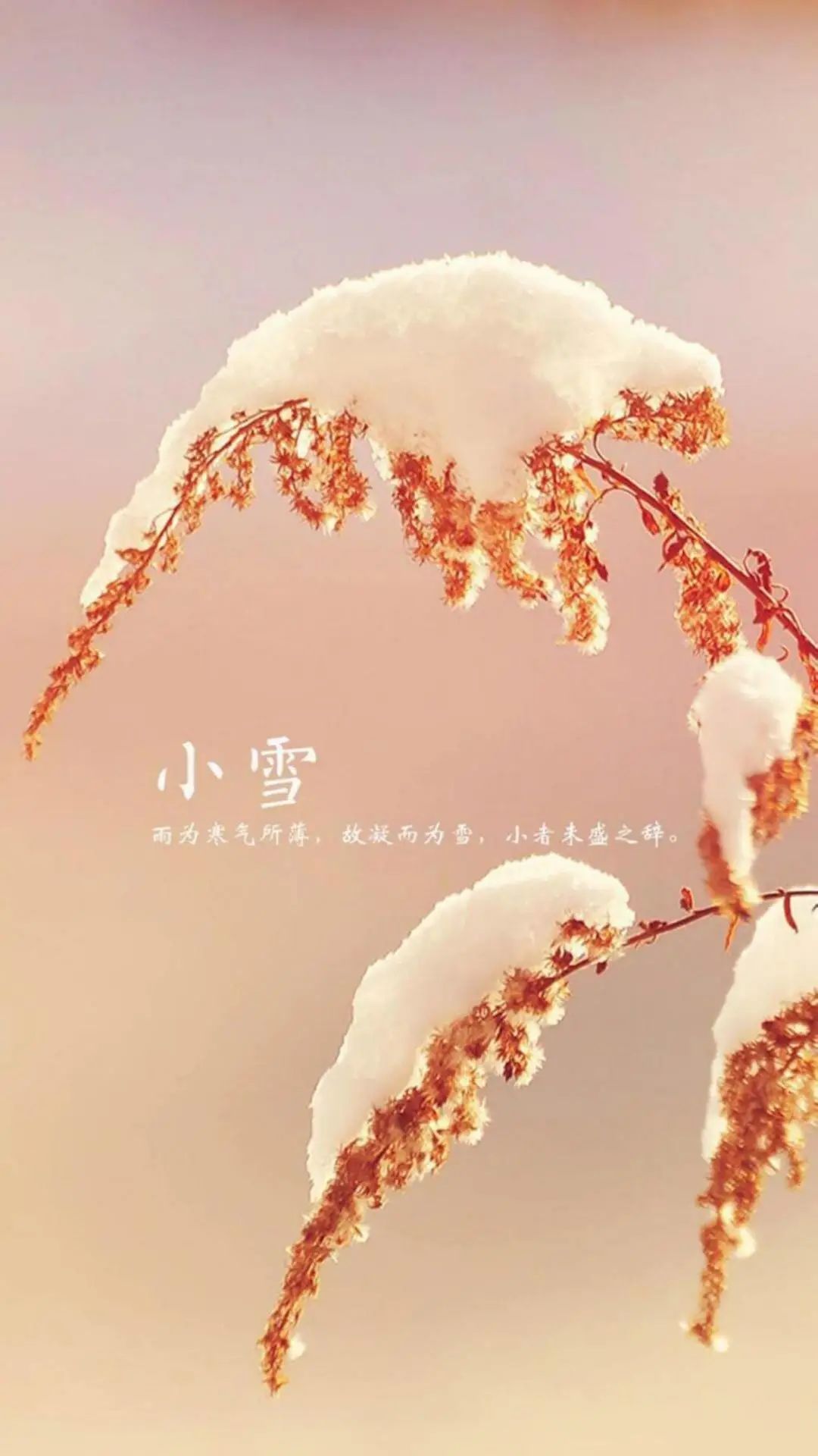 小雪正能量哲学语录（小雪温馨问候说说）