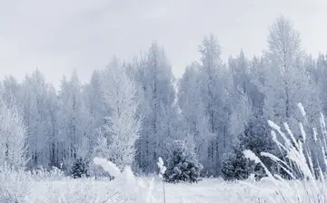 有关冬天雪景的作文精选范例（《白雪皑皑的冬天》）