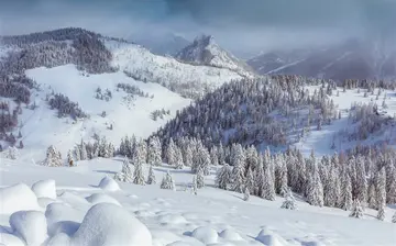 《遍地白雪的冬天》（关于雪花纷纷的作文精选）