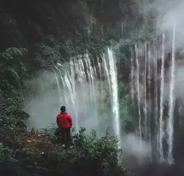 富含人生感悟的句子（精辟人生的励志语录）