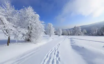 有关北国冬天的作文精选范例（《北国风光，冰封雪飘》）