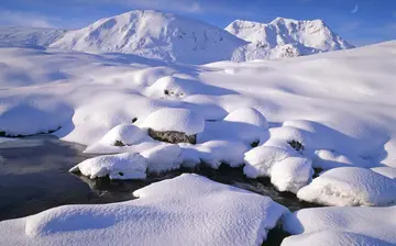 《冬天到北国来看雪》（关于北方冬天的作文精选）